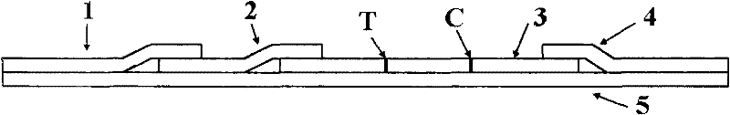 Doxycycline detection kit and preparation method thereof