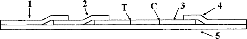 Doxycycline detection kit and preparation method thereof