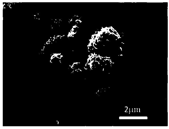 Molybdenum disulfide/carbonyl iron composite microwave absorber with core-shell structure and preparation method thereof