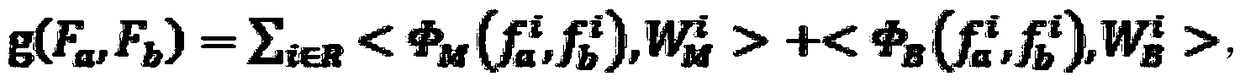 A pedestrian re-recognition method based on semantic region expression