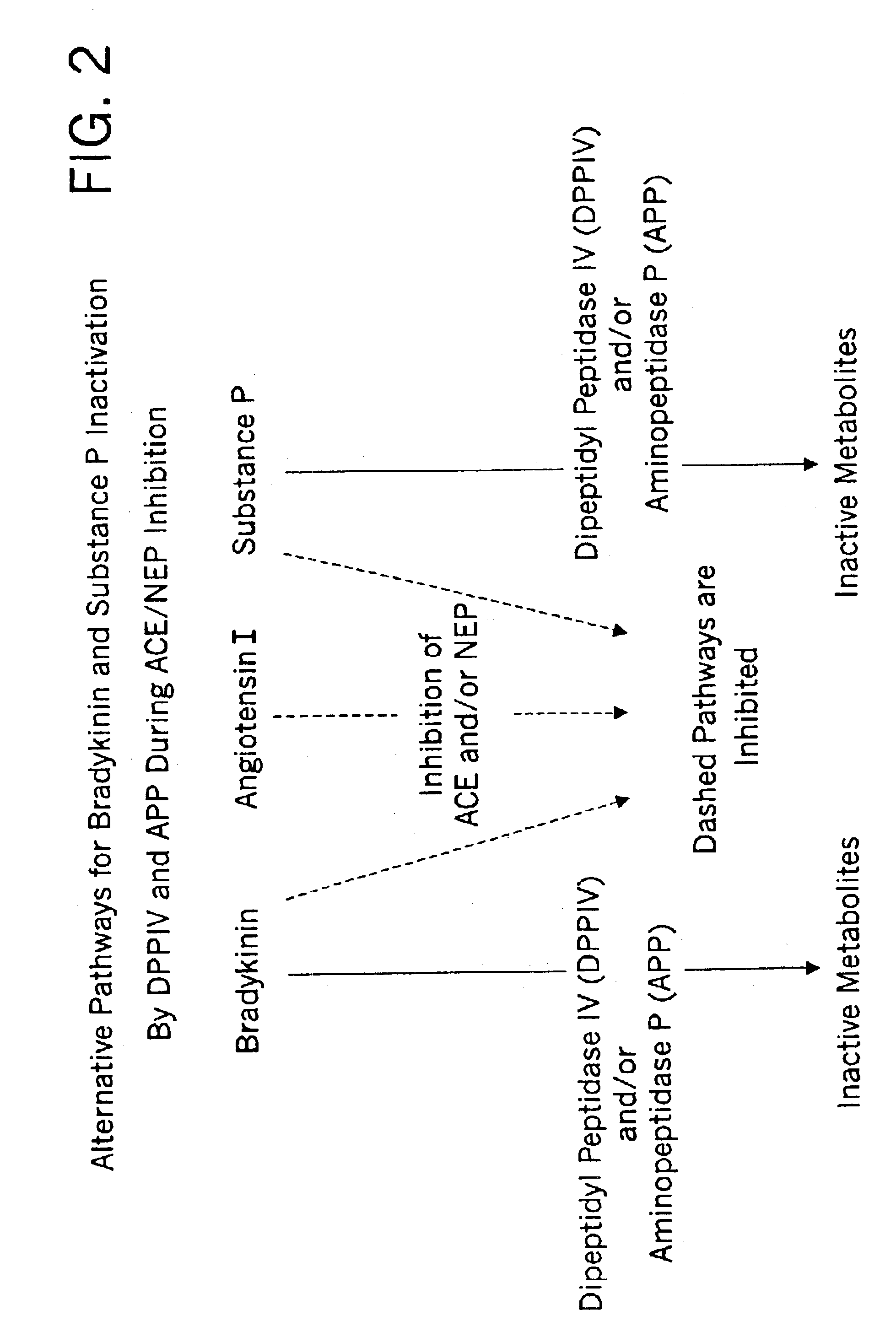 Methods for identifying contraindications to angiotensin converting enzyme inhibitor and/or vasopeptidase inhibitor treatment