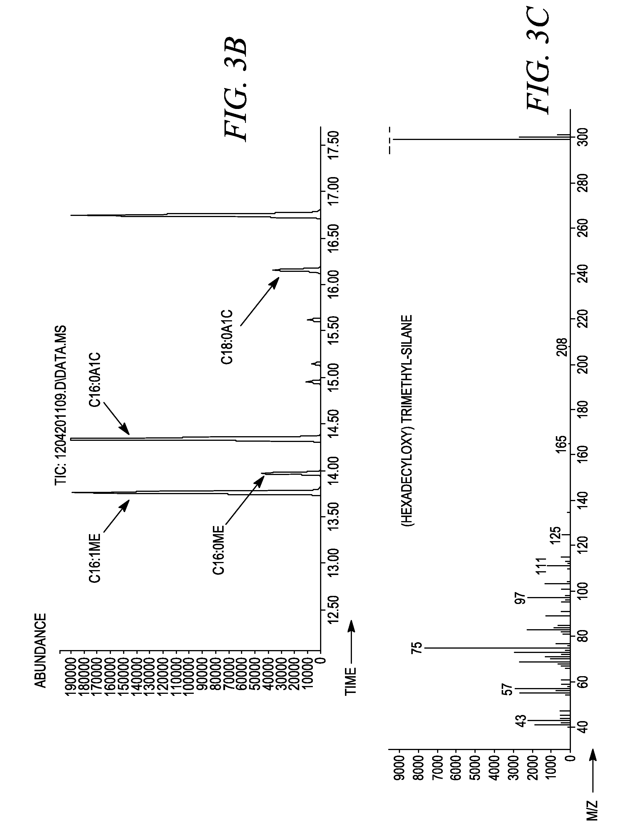 Genetically engineered saccharomyces cerevisiae and yarrowia lipolytica and production of fatty alcohols