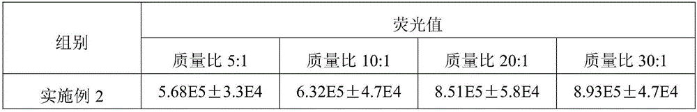 PEGylated Fe3+/ PEI genetic vector based on functional peptide R9 modification and preparation method and application of PEGylated Fe3+/ PEI genetic vector