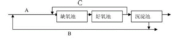 Method for treating total nitrogen in coking wastewater by utilizing microorganisms