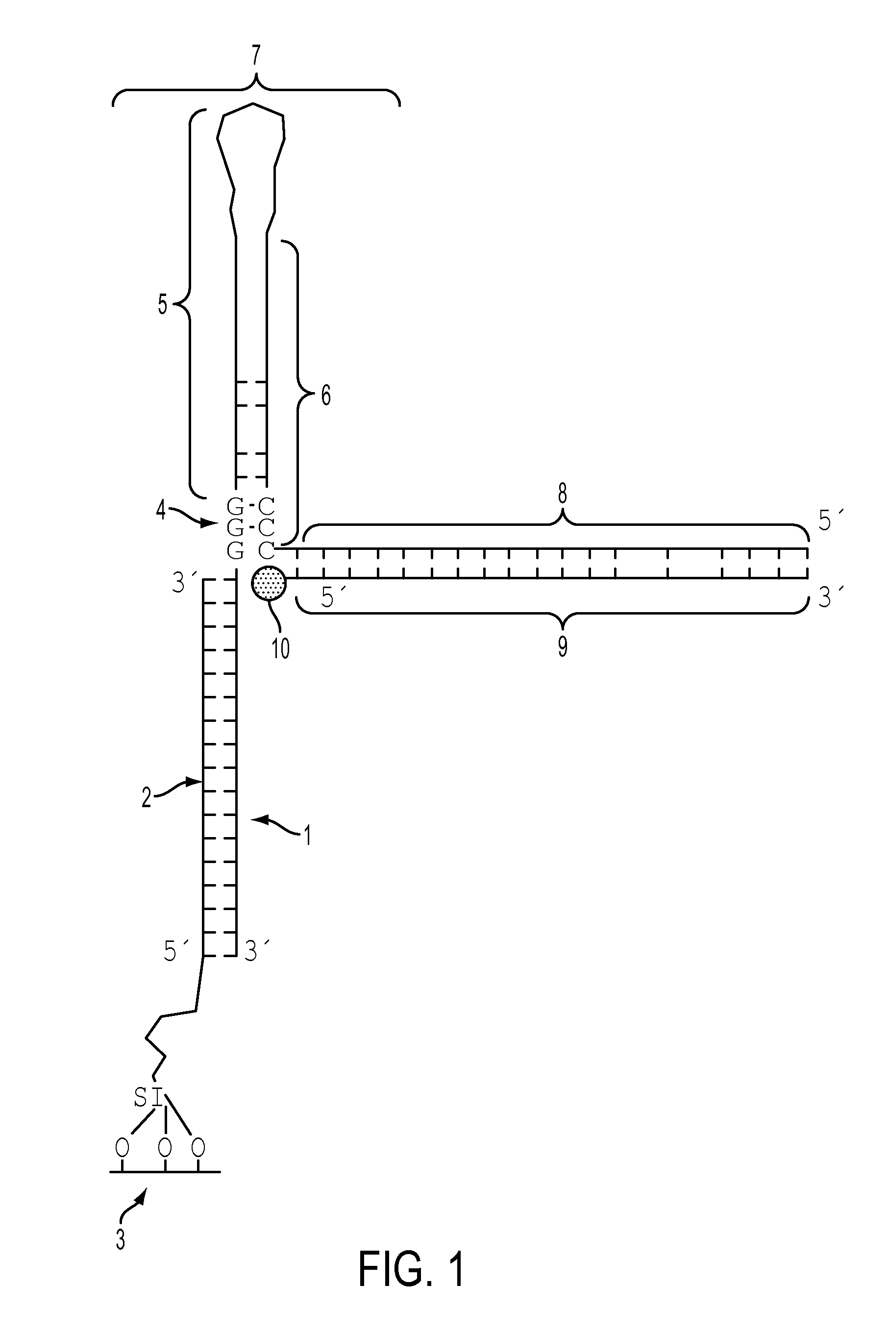 Methods for Detecting and Measuring Specific Nucleic Acid Sequences