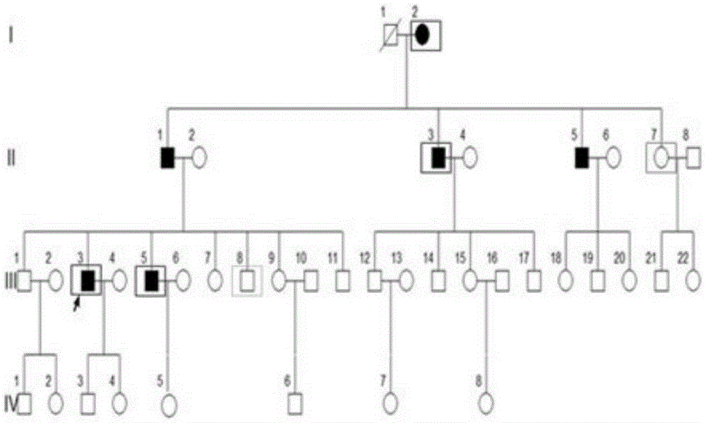 Early-onset diabetes gene mutant and applications thereof