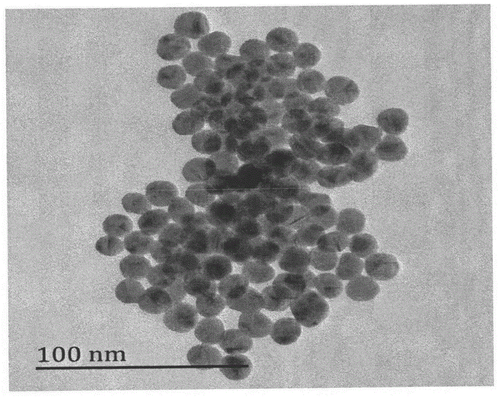 Method for detecting chiral compound based on aptamer modified nanogold