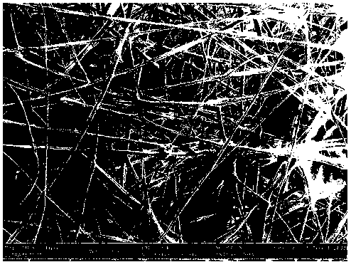 Preparation method of conductive partitioned polyacrylonitrile spinal catheter