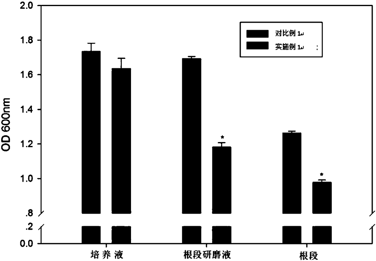 Rice hydroponics method and application thereof