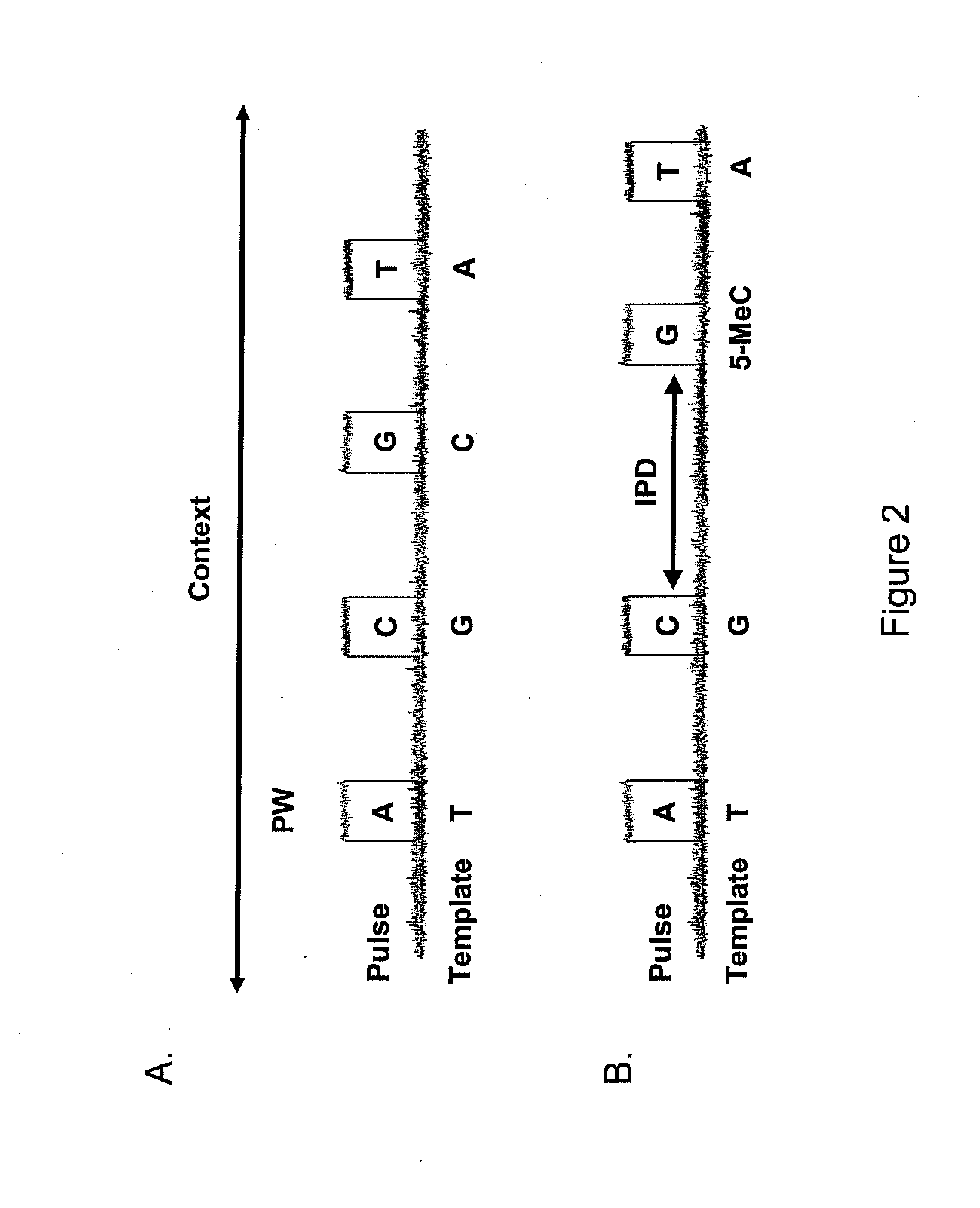 Classification of Nucleic Acid Templates