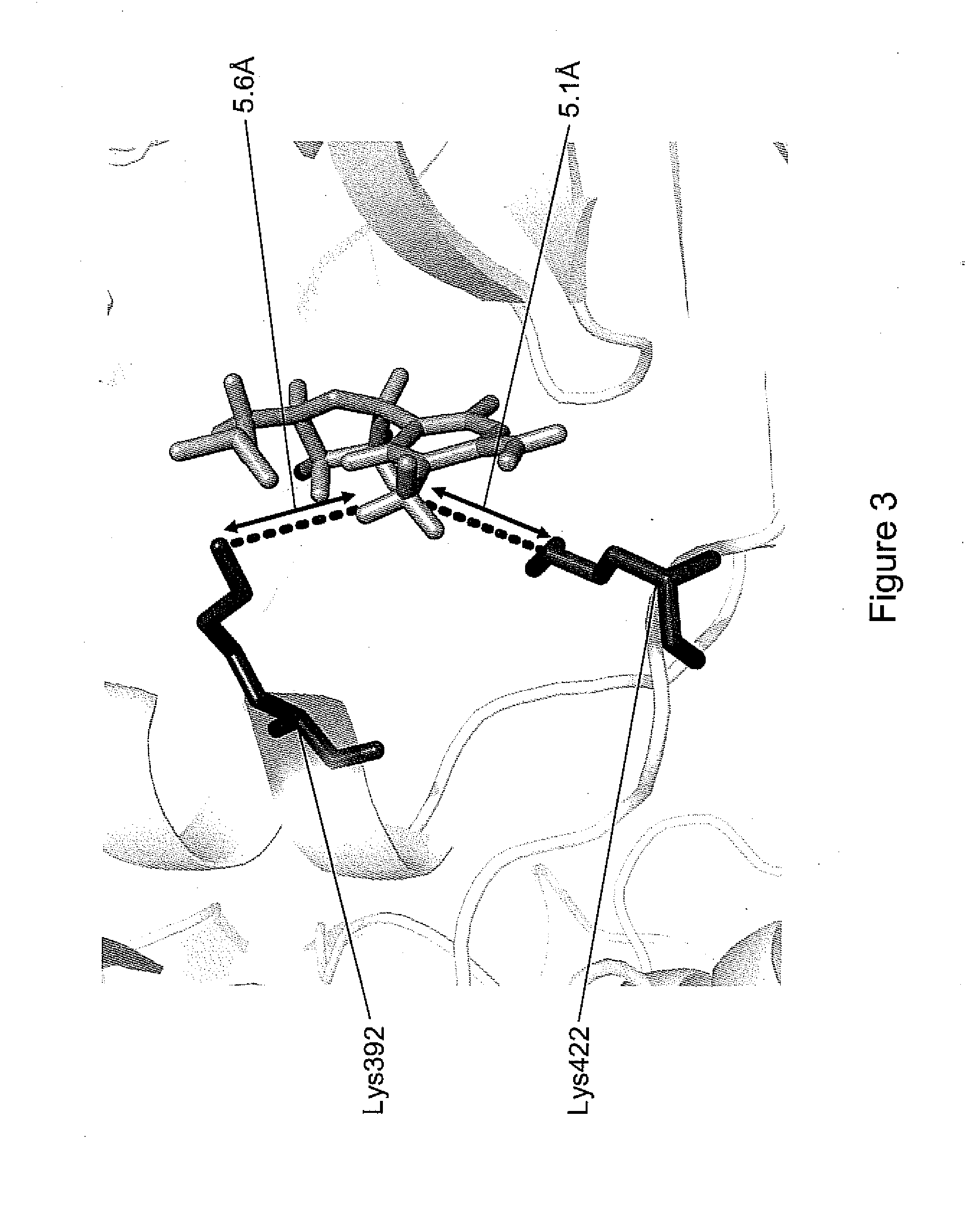 Classification of Nucleic Acid Templates