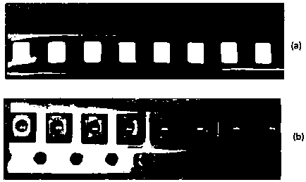 Reel material strip marking method