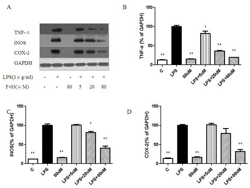 Novel 3-cyclopropylmethoxy-4-alkoxybenzamide PDE (phosphodiesterase) 4 inhibitors