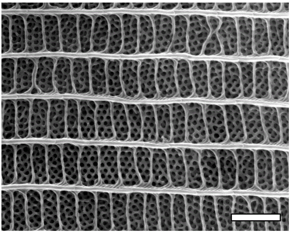 Preparation method for periodic metal material of bicontinuous internal communicating structure and application of periodic metal material