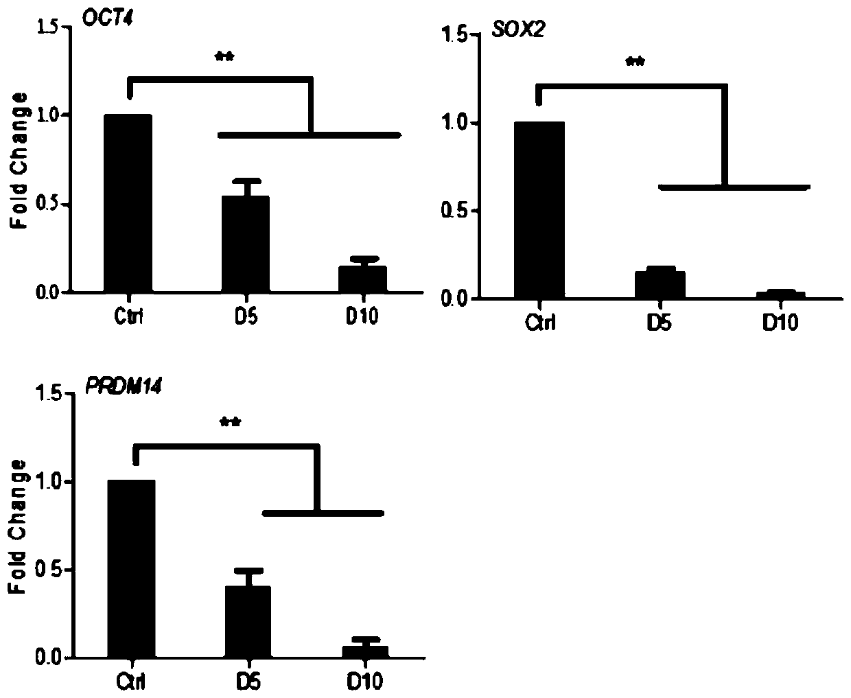 Method for in-vitro differentiation from induced pluripotent stem cells to oocyte stagnating in meiosis II stage