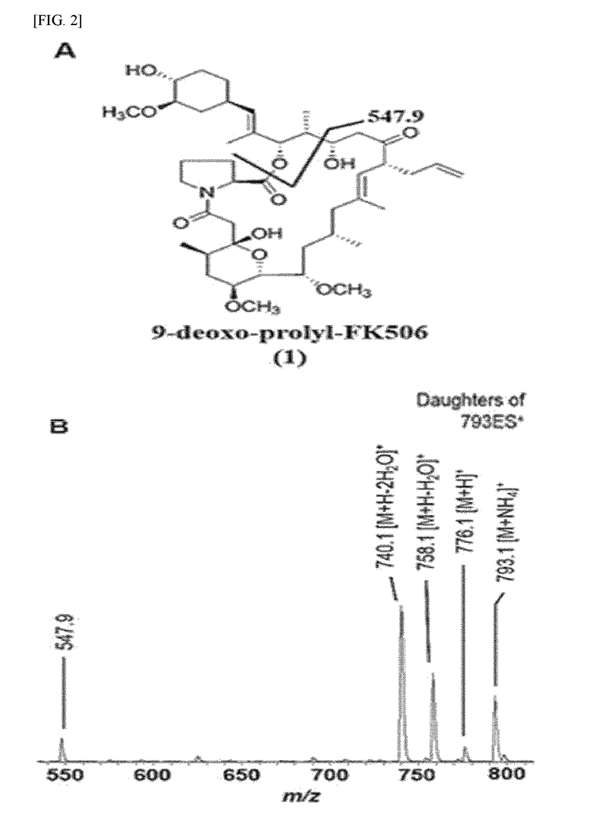 Fk506 derivative maintaining nerve regeneration activity without immunosuppressive activity, and use thereof