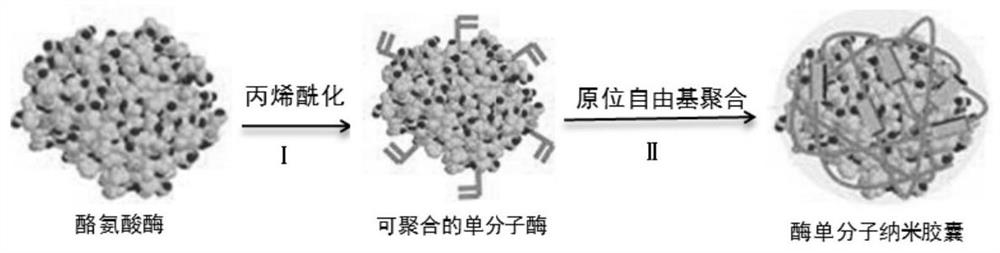 A preparation method and application of an electrochemical sensor based on tyrosinase nanocapsules