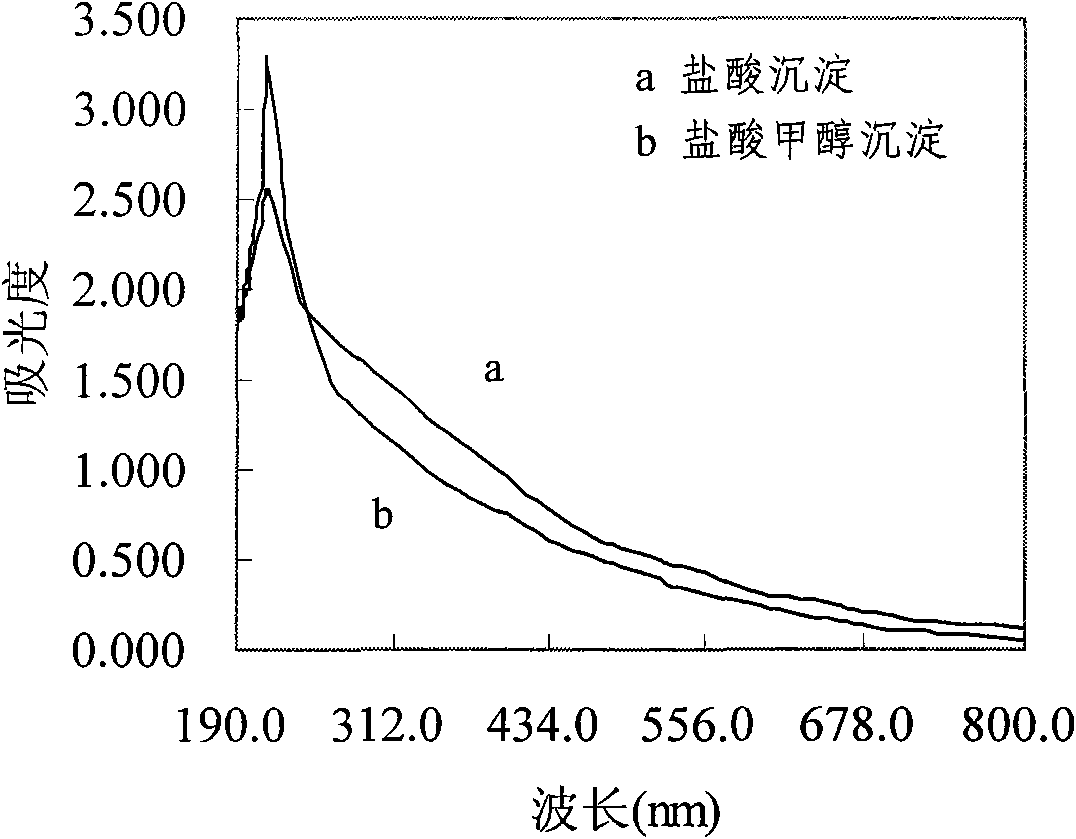 Lachnum and method for preparing melanin by liquid fermentation thereof