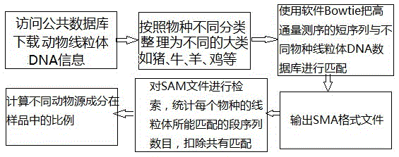 High-throughput sequencing-based animal-derived ingredient identification method and application thereof