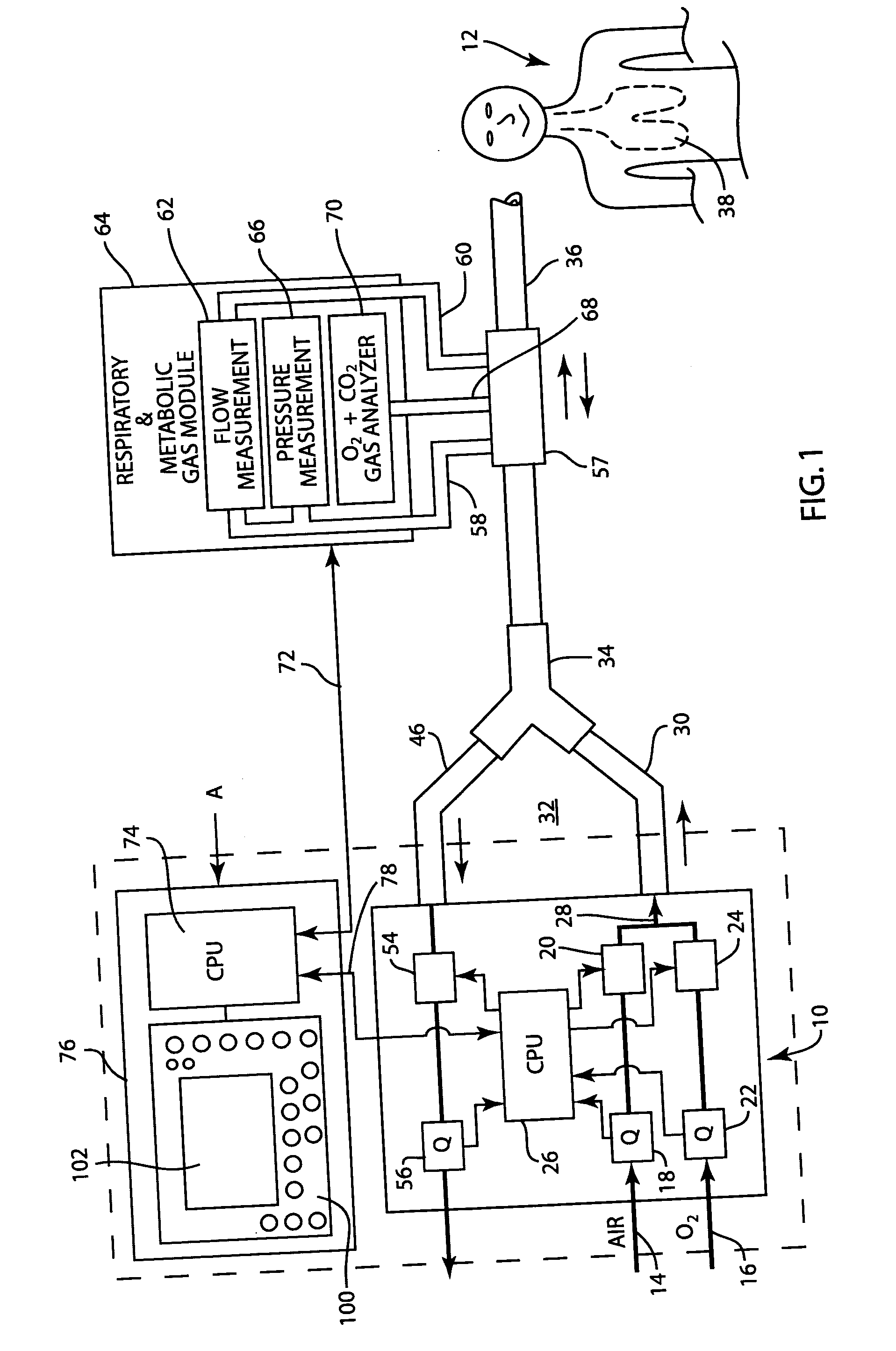 Apparatus and method for determining and displaying functional residual capacity data and related parameters of ventilated patients