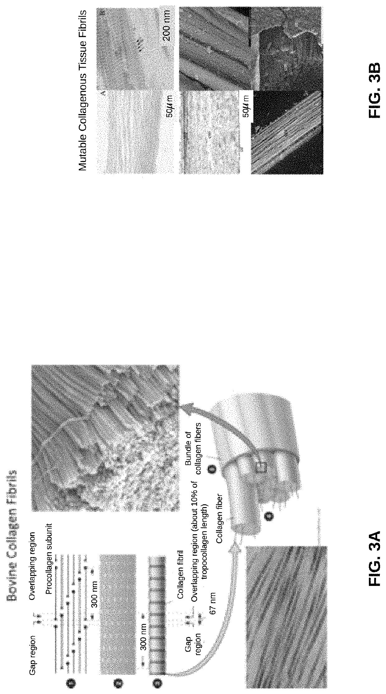 Biomaterial devices and topical compositions for treatment of skin abnormalities