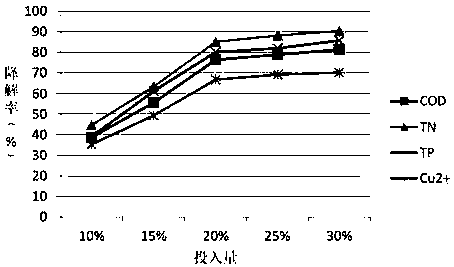 Application method of immobilized microorganisms in livestock breeding wastewater treatment