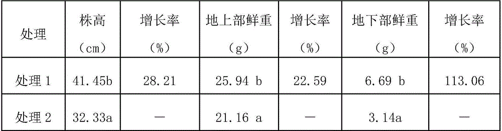 Bacillus amyloliquefaciens with inorganic phosphorus degrading and bacteria inhibiting functions and application of bacillus amyloliquefaciens