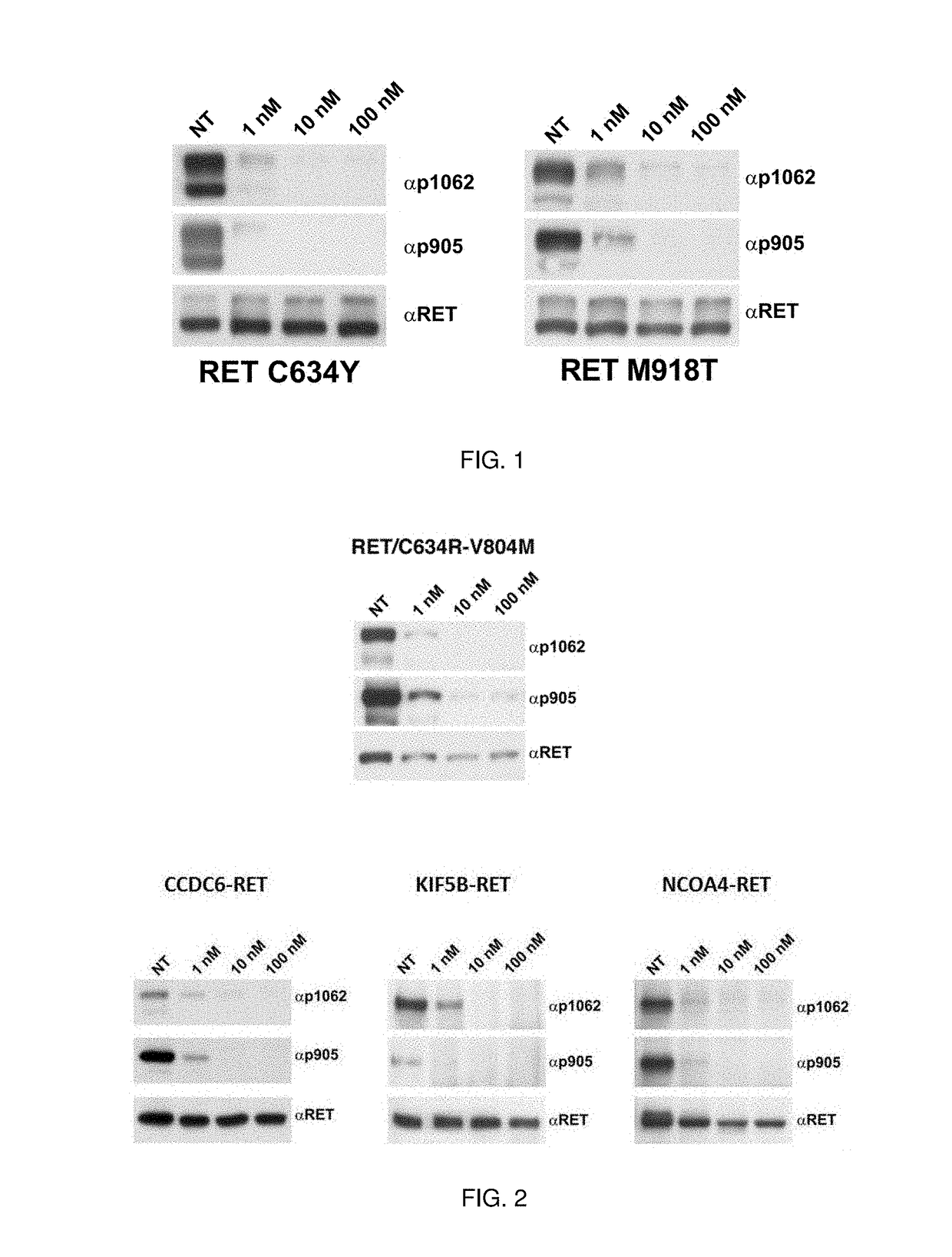 Benzimidazole analogues and related methods