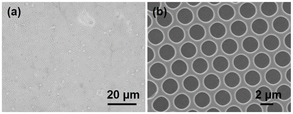 Polymeric ordered porous films, methods for their preparation, and applications for capturing and controllable glucose-responsive insulin release