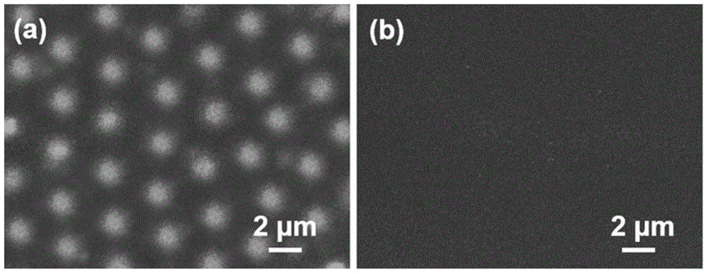 Polymeric ordered porous films, methods for their preparation, and applications for capturing and controllable glucose-responsive insulin release