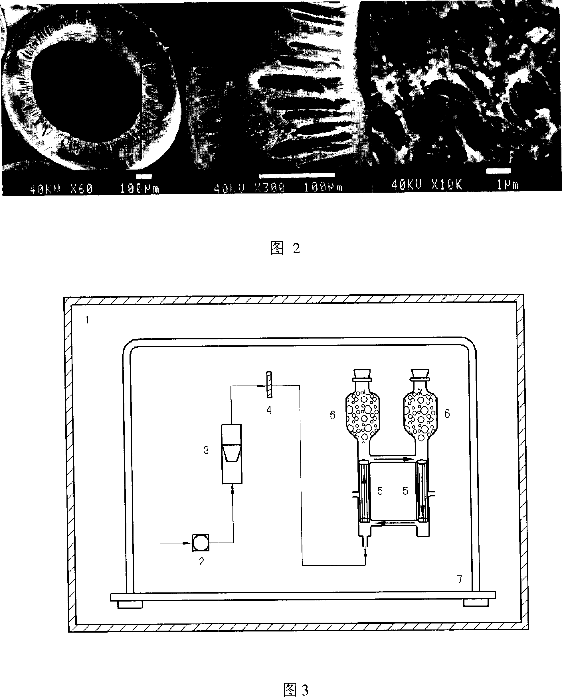 Method for amplifying mensenchymal stem cell under three-dimensional dynamic condition