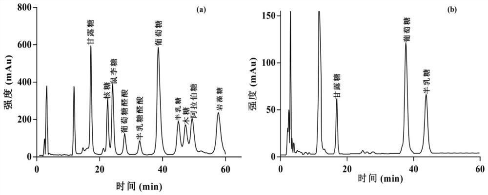 Preparation method of synbiotic