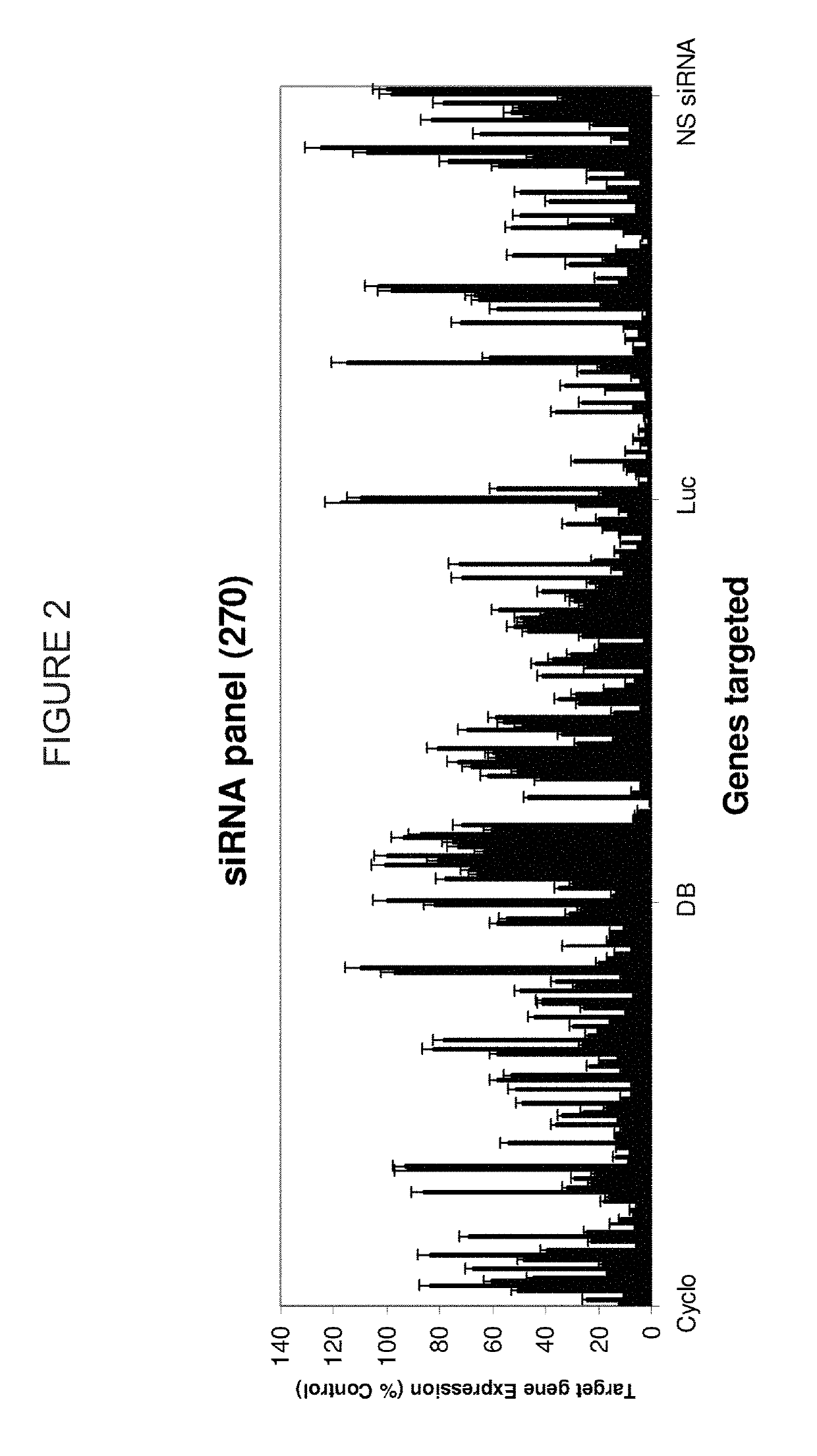 siRNA Targeting LDHA