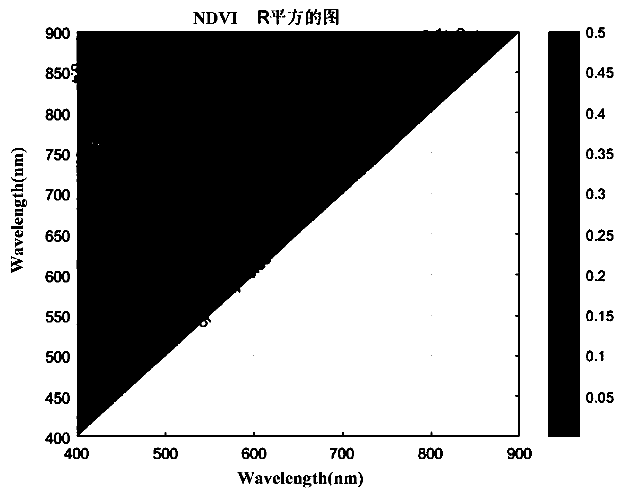 Construction method of wheat powdery mildew illness monitoring model and monitoring method adaptive to wide angle