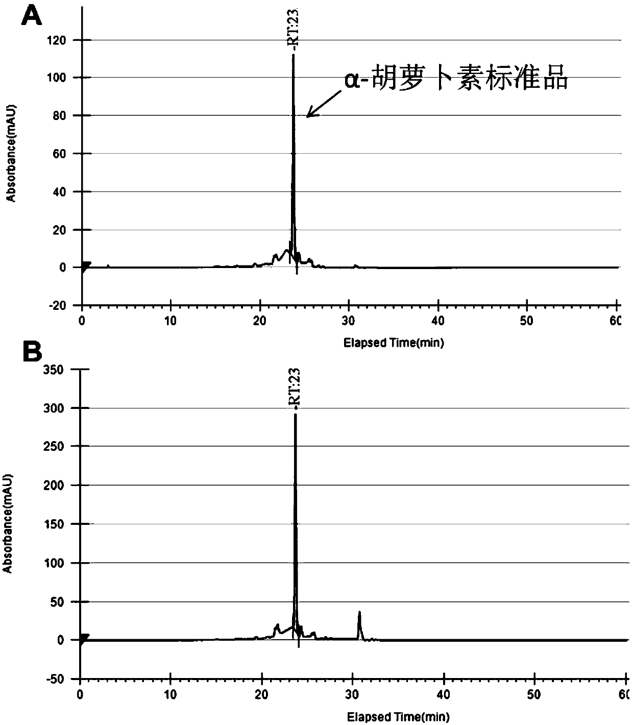 A kind of genetically engineered bacteria for producing alpha-carotene and its construction method and application