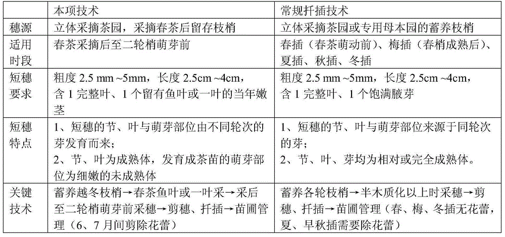 Method for conducting single node cutting seedling cultivation by utilizing branches after spring tea-picking in three-dimensional tea garden