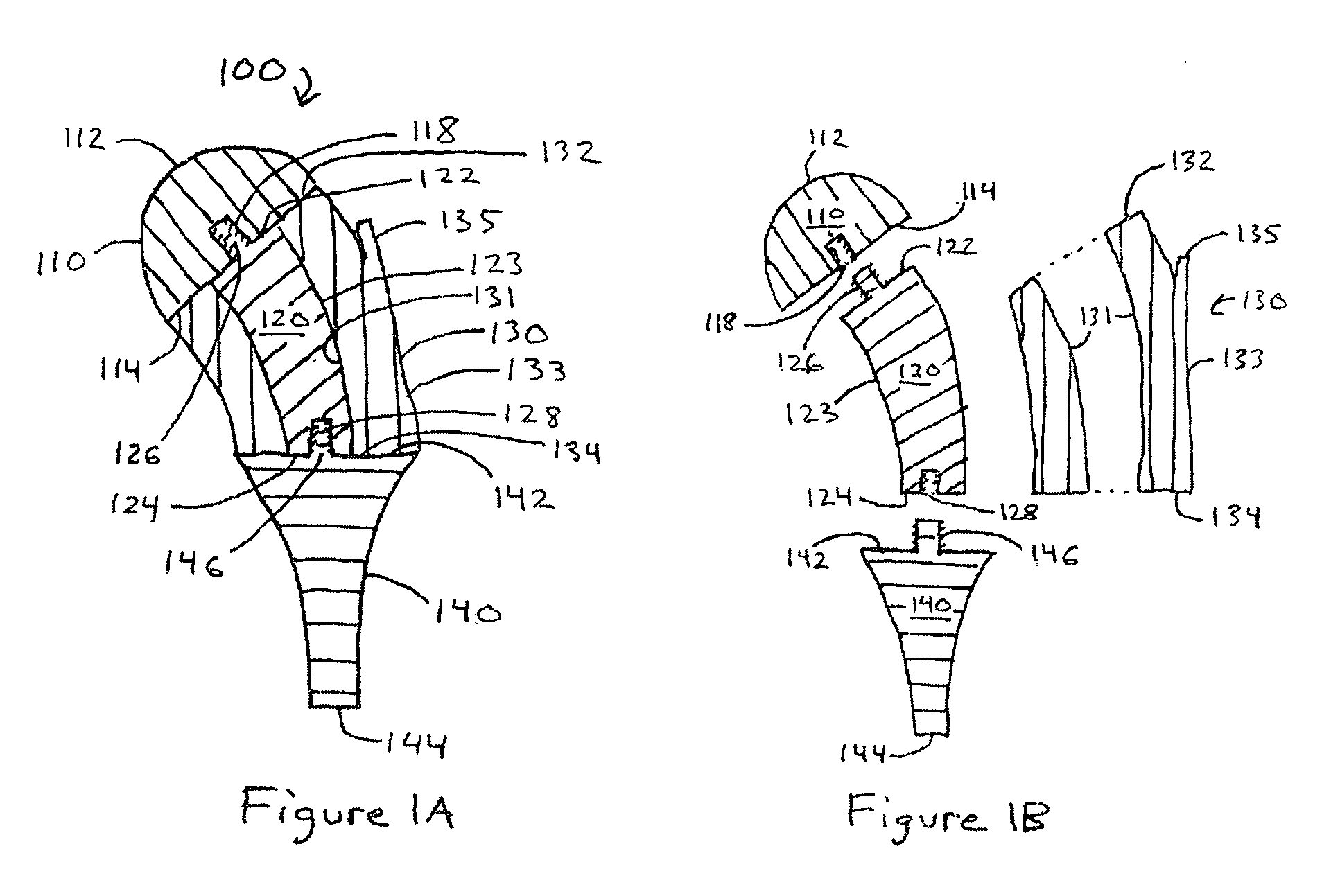 Graft prosthetic composite for proximal humerus