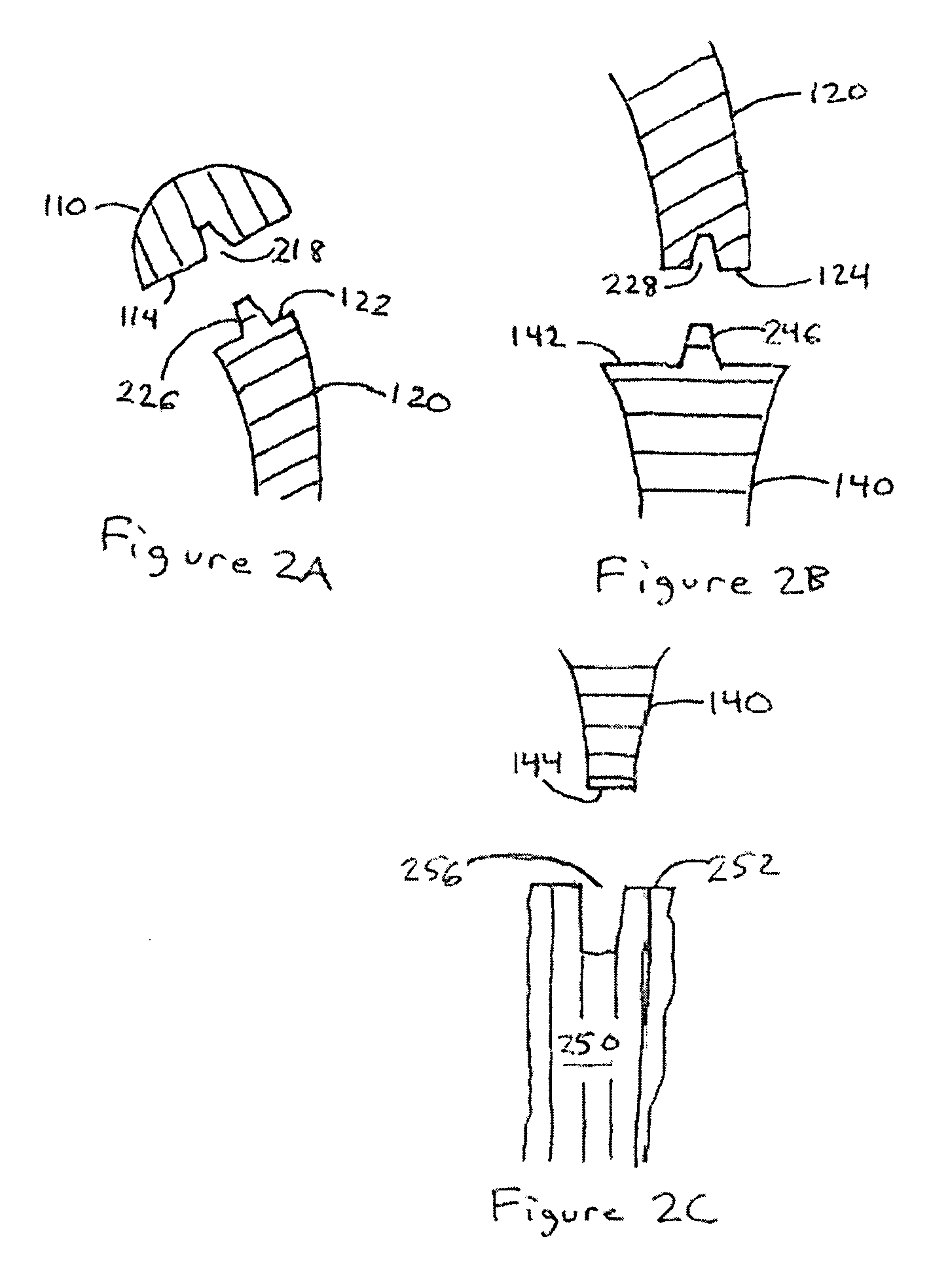 Graft prosthetic composite for proximal humerus