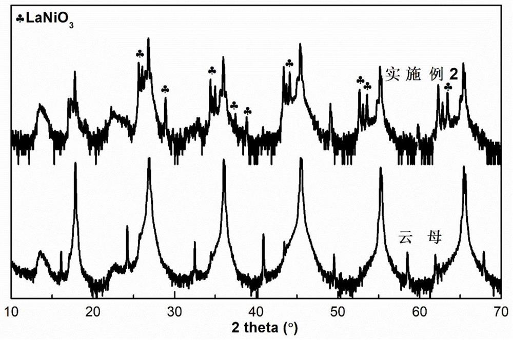 Method for preparing high-temperature flexible LaNiO3 conductive film by sol-gel method