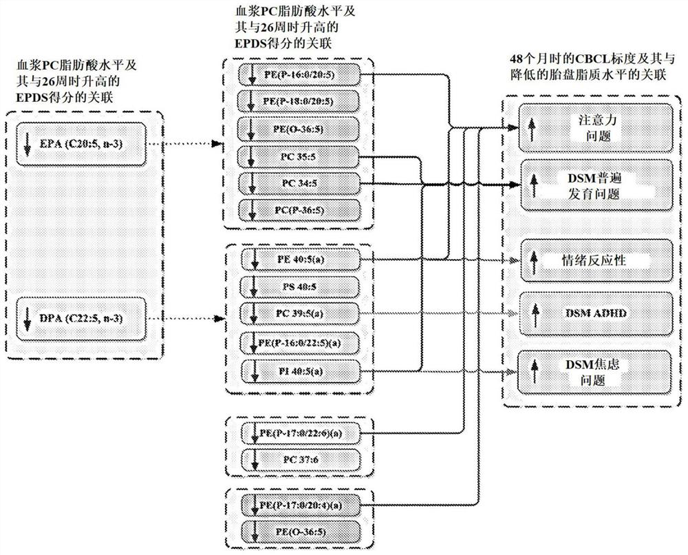 Maternal dpa for benefit of mother and/or child's mental health