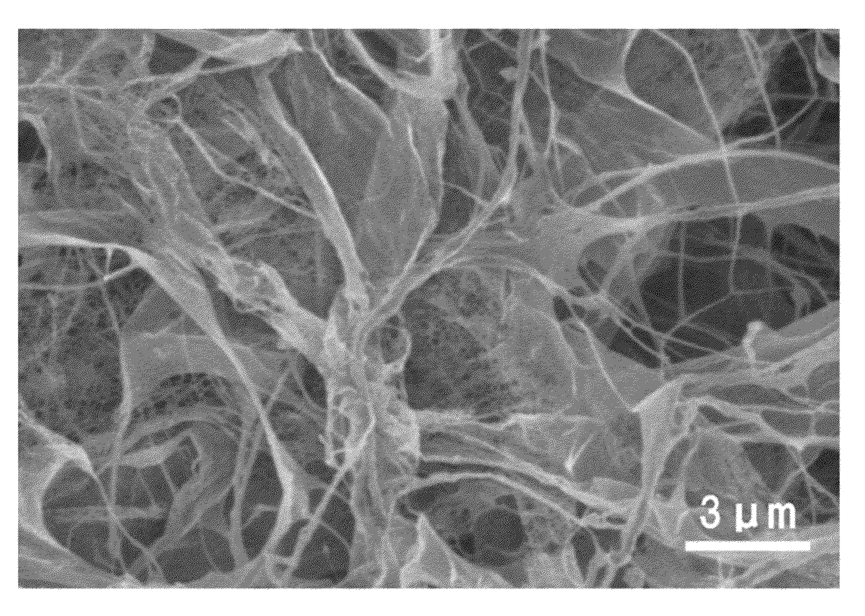 Porous cellulose body and method for producing same