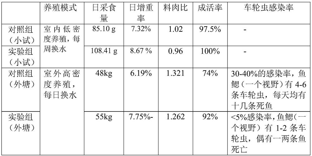 Special feed capable of remarkably reducing trichodina infection of clarias fuscus and preparation method thereof