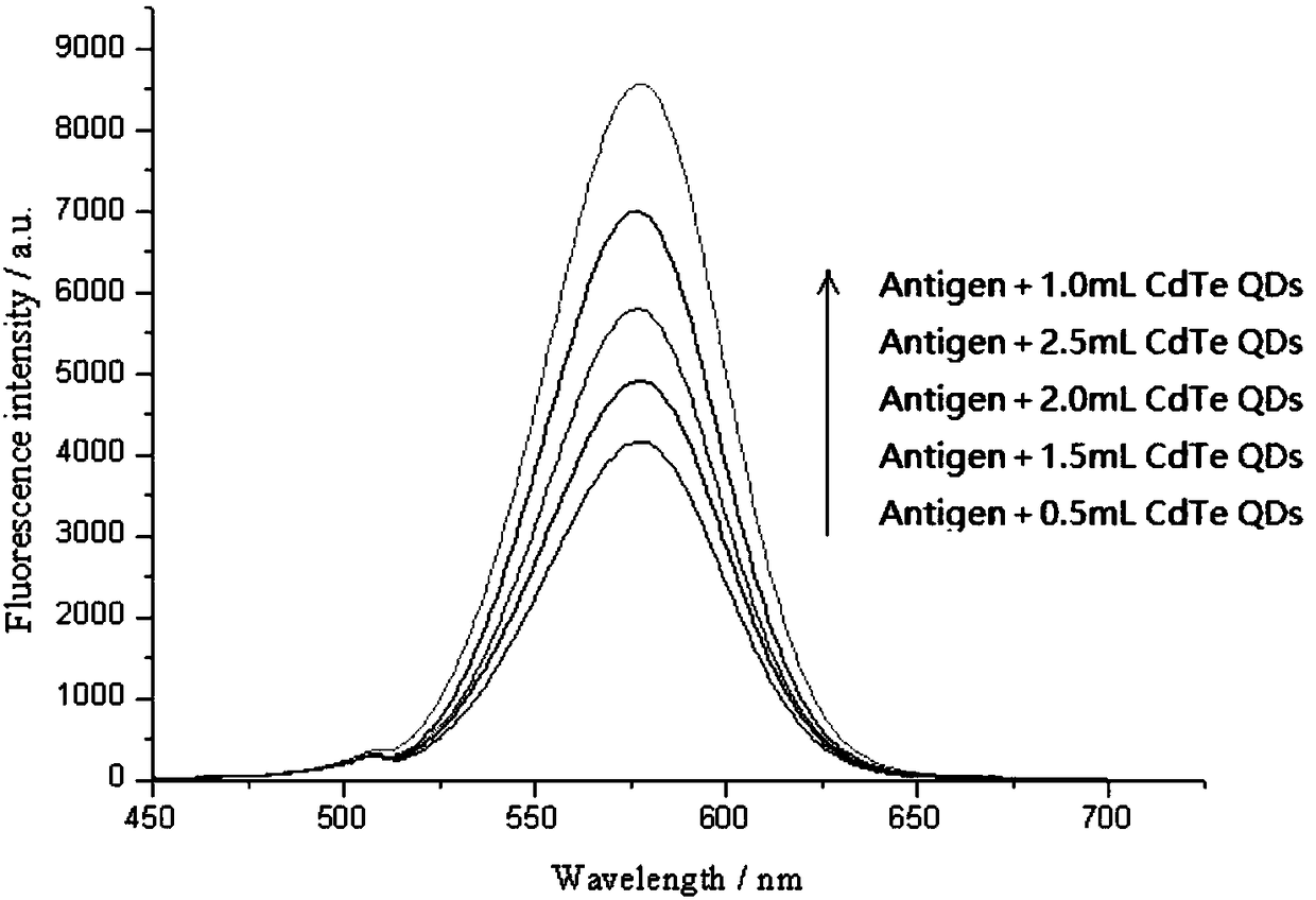 Method for utilizing CdTe quantum dots to measure Zzilpaterol