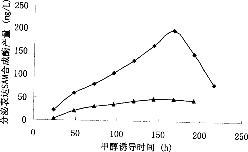 Method for synthesizing adenosyl methionine through extraneous enzyme catalysis