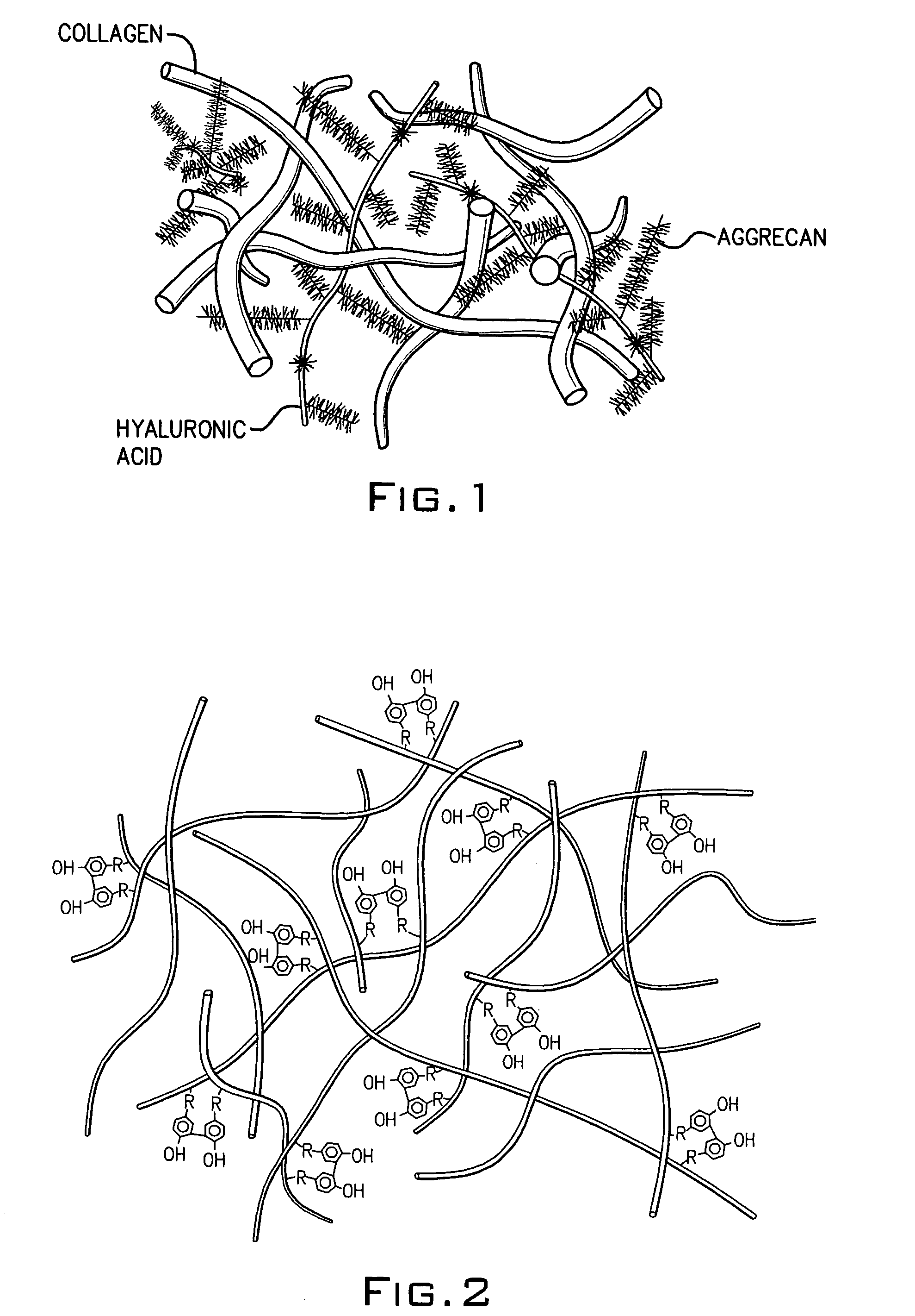 Hydroxyphenyl cross-linked macromolecular network and applications thereof