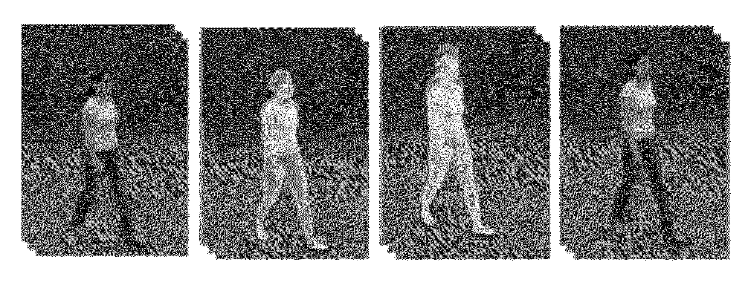 Computer-implemented method and apparatus for tracking and reshaping a human shaped figure in a digital world video