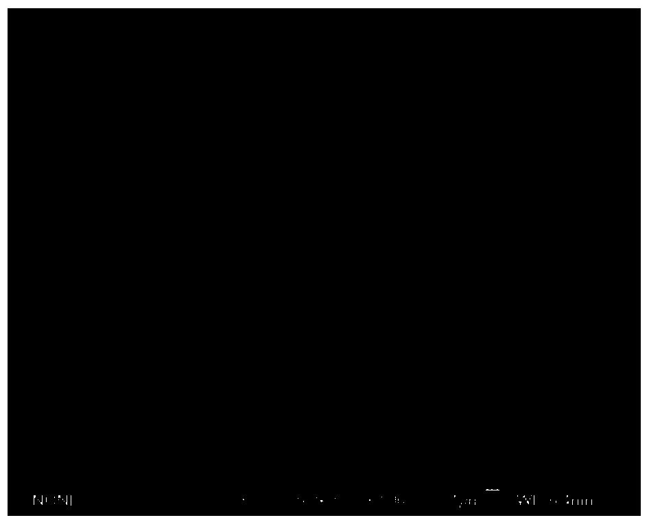 Preparation method for multi-hole carbon nitride photocatalytic material doped with sulphur