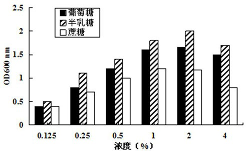 Preparation method of hippophae rhamnoides and probiotic microcapsule and hippophae rhamnoides and probiotic microcapsule product prepared by preparation method