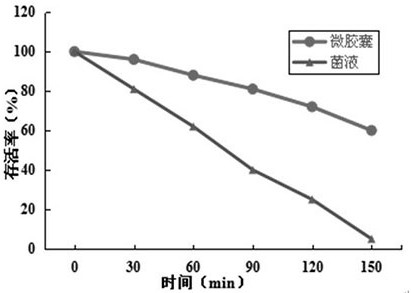 Preparation method of hippophae rhamnoides and probiotic microcapsule and hippophae rhamnoides and probiotic microcapsule product prepared by preparation method