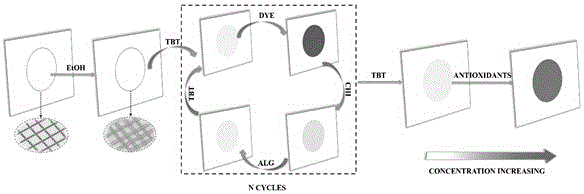 Multilayer sensor used for detecting tea polyphenol, and production method and application of sensor